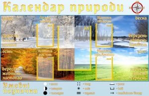 Стенд "Календар природи" (Артикул: УОМ 0012)  