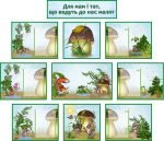 Набір стендів "Для мам і тат, що ведуть до нас малят" (Грибок) (Артикул: КОМП 0059)  