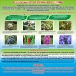 Стенд "Обережно! Отруйні рослини!" (Артикул: 3-0338)  