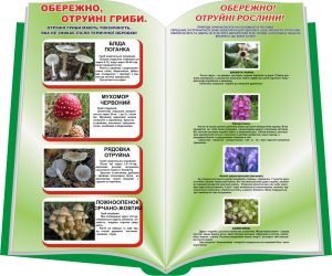 Стенд "Отруйні гриби та рослини" (Артикул: 3-0557)  