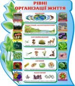 Стенд "Рівні організації життя" (Артикул: 3-1059)  