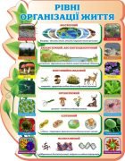 Стенд "Рівні організації життя" (Артикул: 3-1060)  