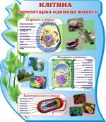 Стенд "Клітина - елементарна одиниця живого" (Артикул: 3-1061)  