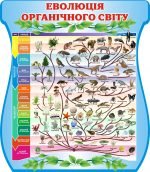 Стенд "Еволюція органічного світу" (Артикул: 3-1063)  