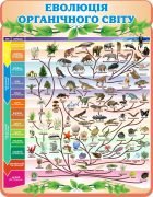 Стенд "Еволюція органічного світу" (Артикул: 3-1064)  