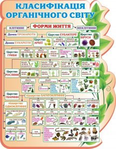 Стенд "Класифікація органічного світу" (Артикул: 3-1066)  