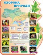 Стенд "Охорона природи" (Артикул: 3-1068)  