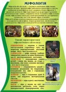 Стенд "Міфологія" (Артикул: 3-1549)  