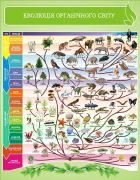 Стенд "Еволюція органічного світу" (Артикул: 3-1587)  