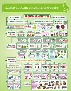 Стенд "Класифікація органічного світу" (Артикул: 3-1588)  
