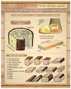 Структура деревини та види пиломатеріалів (Артикул: 1-І-81)  