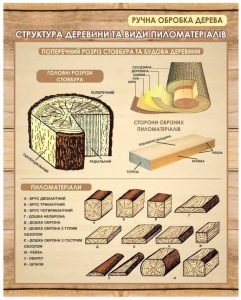 Структура деревини та види пиломатеріалів (Артикул: 1-І-81)  