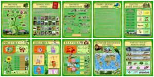Комплект стендів для кабінету біології (Артикул: 4-BI-10)  