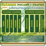 Стенд "Тканини рослин і тварин" (Артикул: 7-БІО-012)  