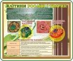Стенд "Клітини рослин і тварин" (Артикул: 7-БІО-013)  