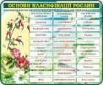 Стенд "Основи класифікації рослин" (Артикул: 7-БІО-025-4)  