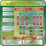 Стенд "Класифікація живого за рівнем клітинної організації" (Артикул: 7-БІО-025-5)  