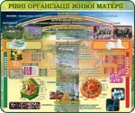 Стенд "Рівні організації живої матерії" (Артикул: 7-БІО-026-3)