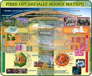 Стенд "Рівні організації живої матерії" (Артикул: 7-БІО-026-3)  