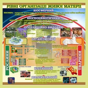 Стенд "Рівні організації живої матерії" (Артикул: 7-БІО-026-4)  