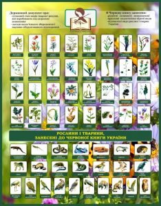 Стенд "Рослини і тварини, занесені до червоної книги України" (Артикул: 7-БІО-027-1)  