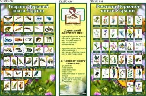 Комплект стендів для кабінету з біології (Артикул: 7-БІО-027-12)  