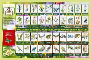 Стенд "Рослини і тварини, занесені до червоної книги України" (Артикул: 7-БІО-027-13)  