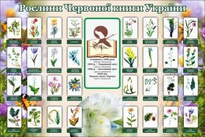 Стенд "Рослини червоної книги України" (Артикул: 7-БІО-027-16)  