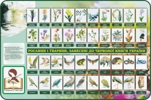 Стенд "Рослини і тварини, занесені до червоної книги України" (Артикул: 7-БІО-027-2)  