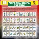 Стенд "Червона книга України" (Артикул: 7-БІО-027-4)  