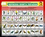 Стенд "Червона книга України" (Артикул: 7-БІО-027-5)  