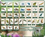 Стенд "Тварини Червоної книги України" (Артикул: 7-БІО-027-7)  