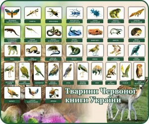 Стенд "Тварини Червоної книги України" (Артикул: 7-БІО-027-7)  