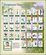 Стенд "Рослини червоної книги України" (Артикул: 7-БІО-027-8)  