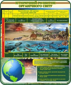 Стенд "Історторичний розвиток органічного світу" (Артикул: 7-БІО-033)  