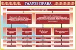 Стенд "Галузі права" (Артикул: 7-ПРВ-007-1)  