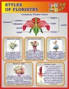 Стенд "Styles of floristry" (Артикул: 3-1943)  