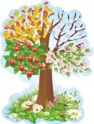 Стенд для НУШ "Дерево - чотири сезони" (Артикул: 3-2040)  