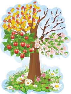 Стенд для НУШ "Дерево - чотири сезони" (Артикул: 3-2040)  