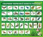 Стенд "Тварини Червоної книги України" (Артикул: 9-0104)  