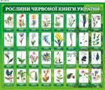 Стенд "Рослини Червоної книги України" (Артикул: 9-0105)  