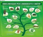 Стенд "Еволюція рослинного світу" (Артикул: 9-0553)  