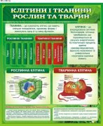 Стенд "Будова клітини" (Артикул: 9-0550)  