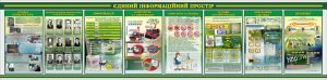 Банер в кабінет інформатики (Артикул: 7-ІНФ-001-3)  