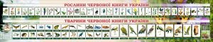 Банер в кабінет біології (Артикул: 7-БІО-027-10)  