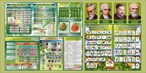 Банер в кабінет біології (Артикул: 7-БІО-036)  