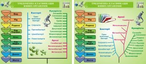 Набір стендів для кабінету біології (Артикул: 3-0075)  