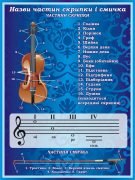 Стенд «Назви частин скрипки і смичка» (Артикул: 3-0173)  