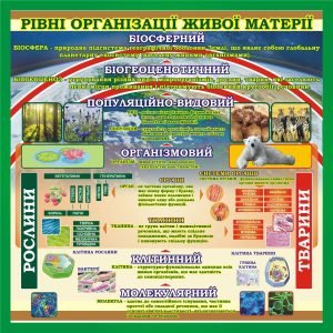 Стенд «Рівні організації живої матерії» (Артикул: 3-0116)  
