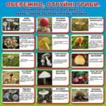 Наліпка «Обережно, отруйні гриби» (Артикул: 3-0333)  